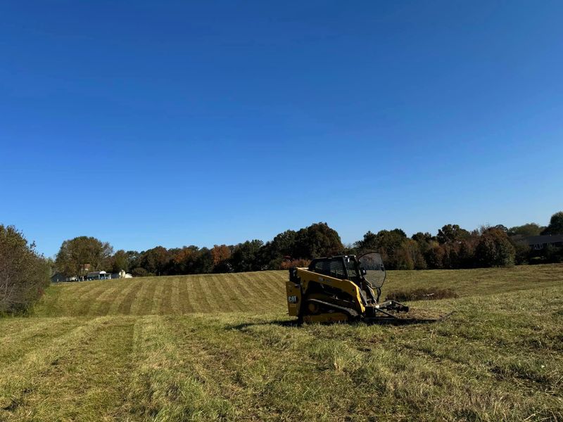 Forestry Mulching