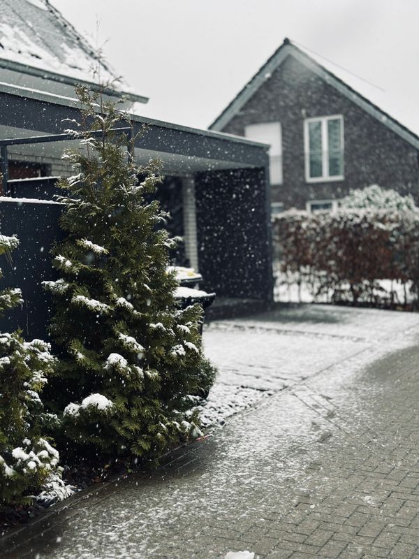 Christmas Tree Pick-up
