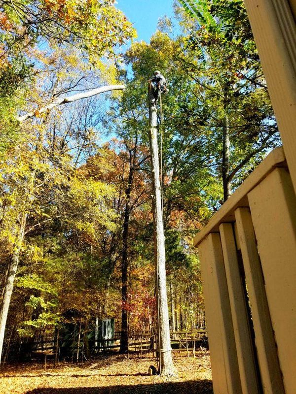 Crane Access