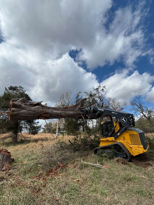 Tree Removal