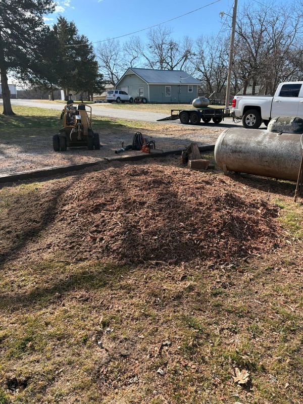 Fall Clean Up