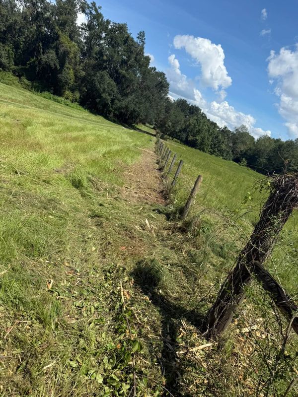 Land Clearing