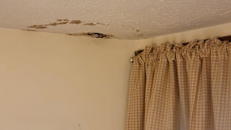 Interior Renovations