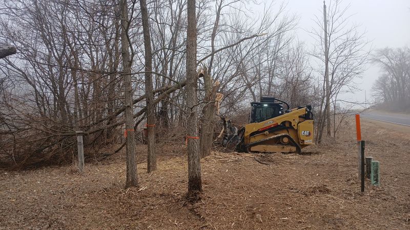 Forestry Mulching