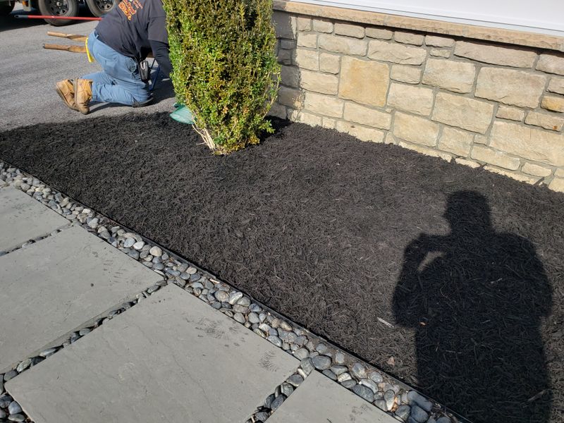 Landscape Design/Mulching