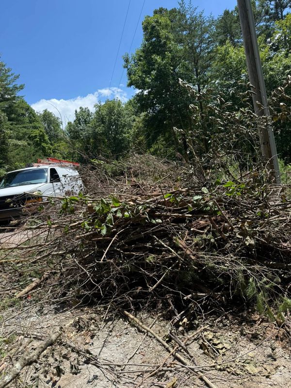 Tree Removal and Trimming