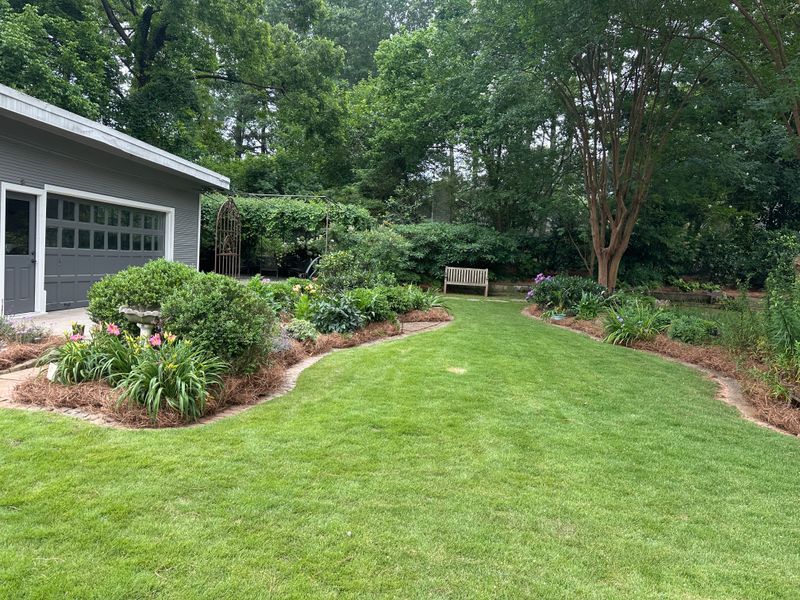 Lawn Care & Maintenance