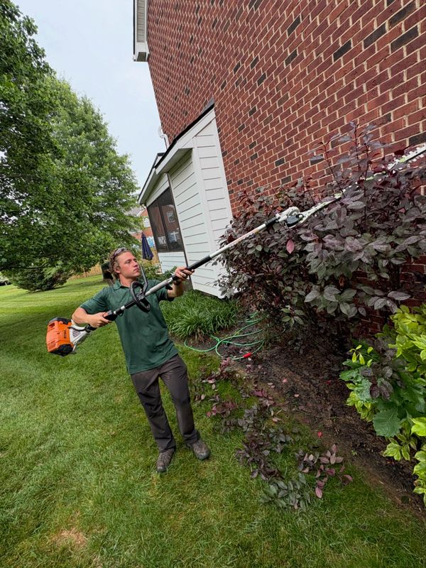 Lawn Maintenance