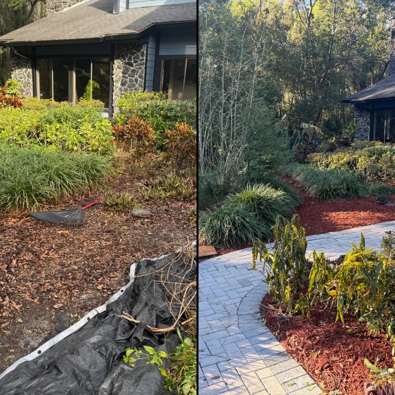 Mulch Installation