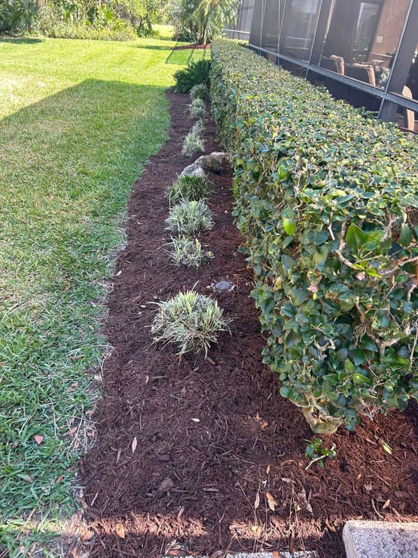 Garden Design and Installation