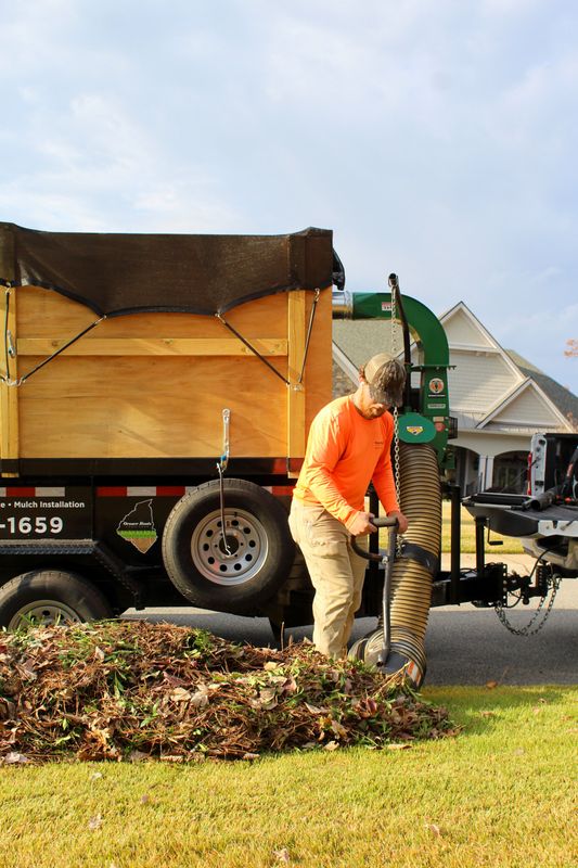 Leaf Removal