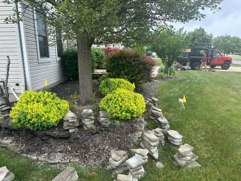 Shrub & Plant Installation Photos