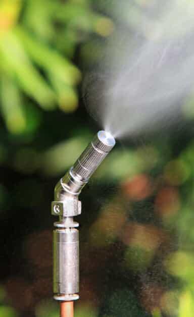 Mosquito Spraying