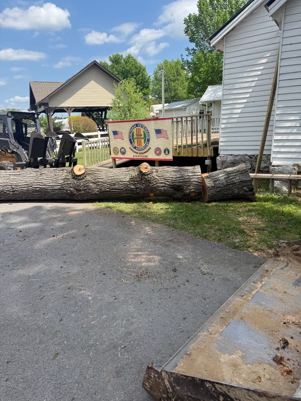 Tree Removal
