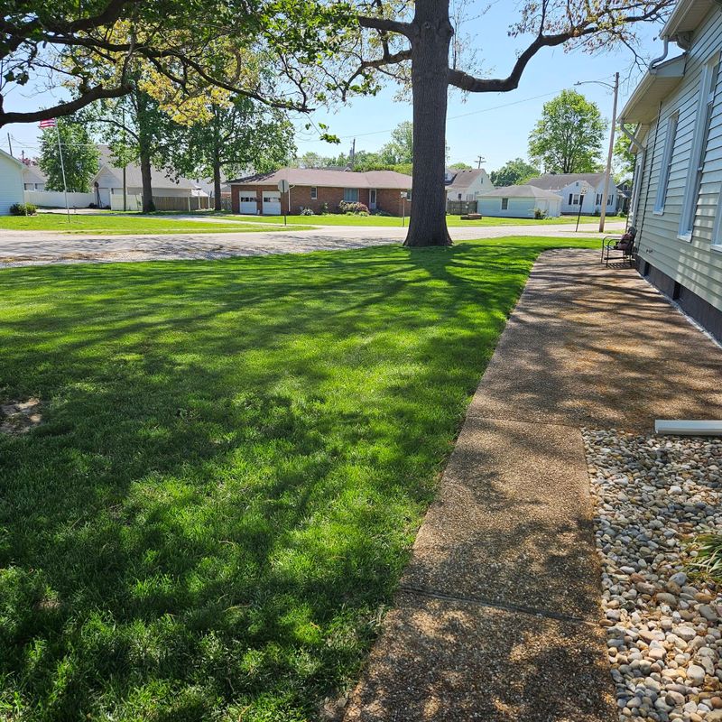 Commercial Lawn Maintenance