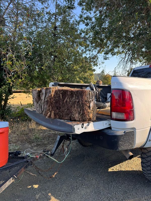 Tree Removals