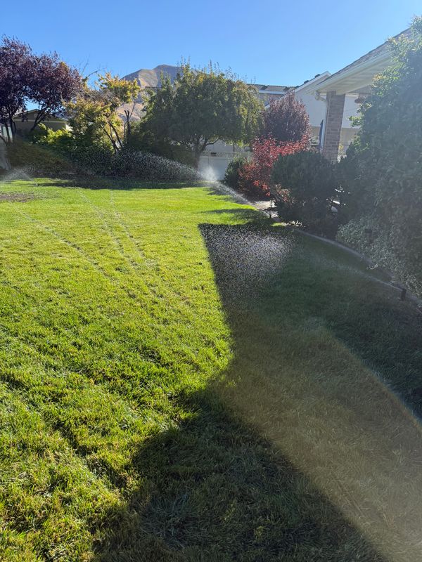 Other Lawn Services