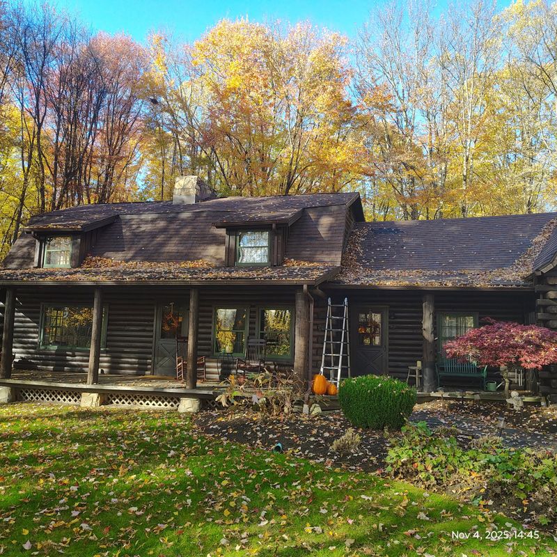 Seasonal Clean-ups