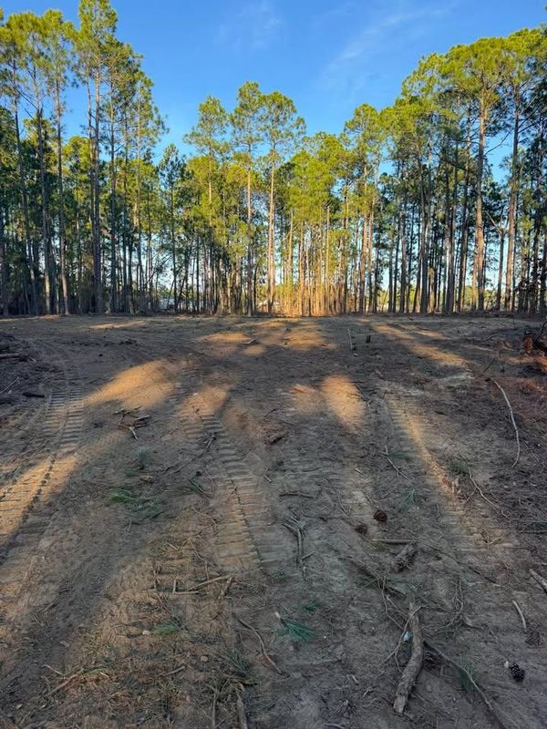 Land Clearing
