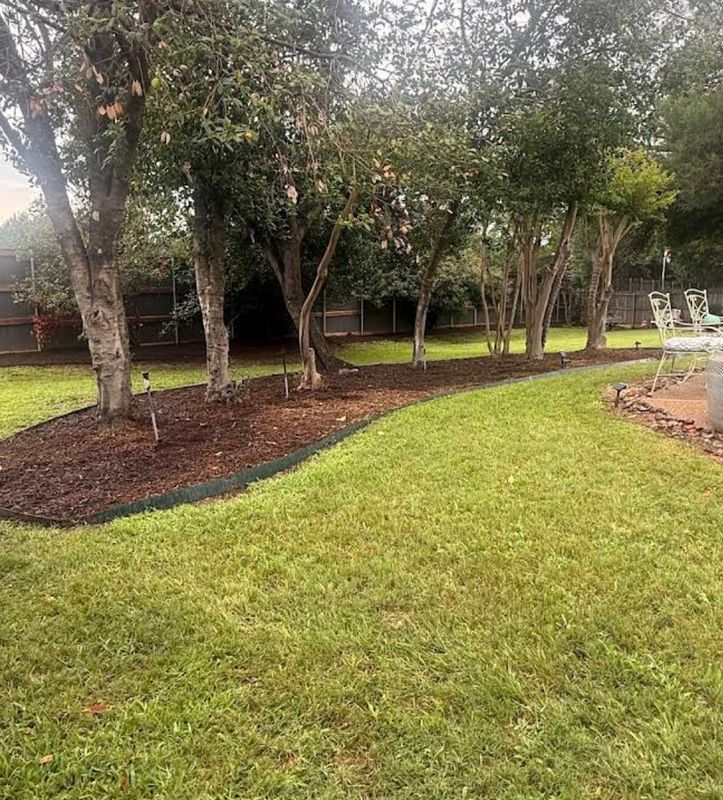 Shrub Trimming