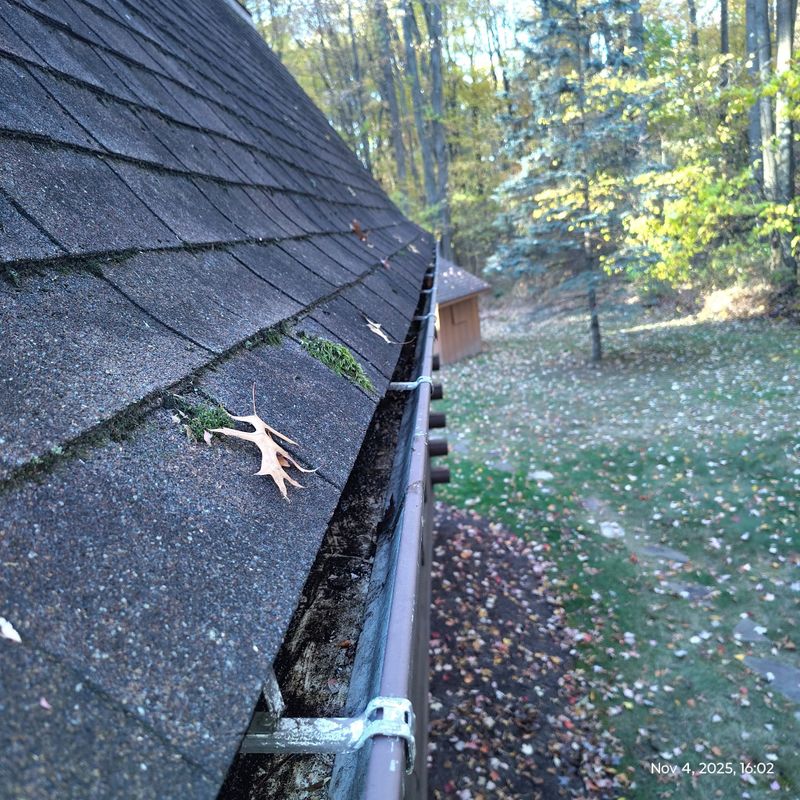 Gutter Cleaning