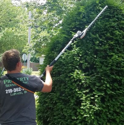 Lawn Care