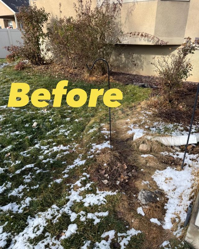 Shrub Trimming
