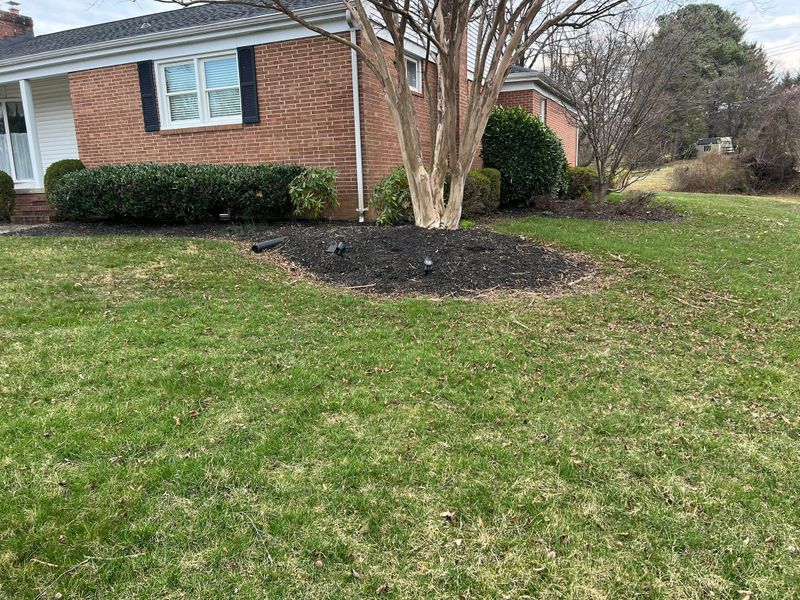 Lawn Maintenance