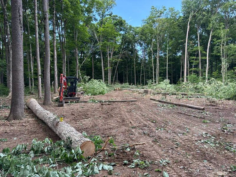 Land Clearing