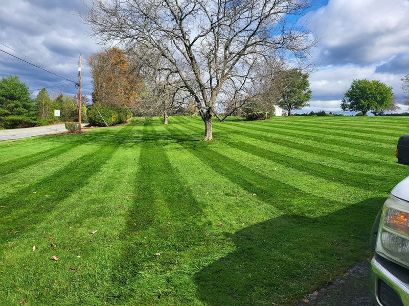 Lawn Mowing
