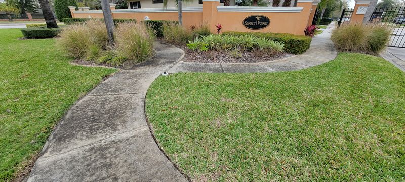 Driveway and Sidewalk Pressure Washing