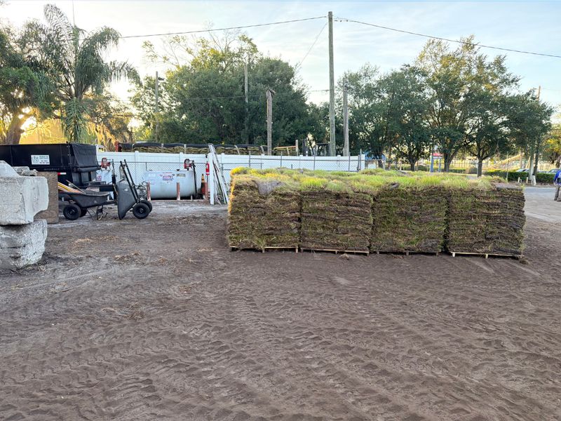 Sod Types