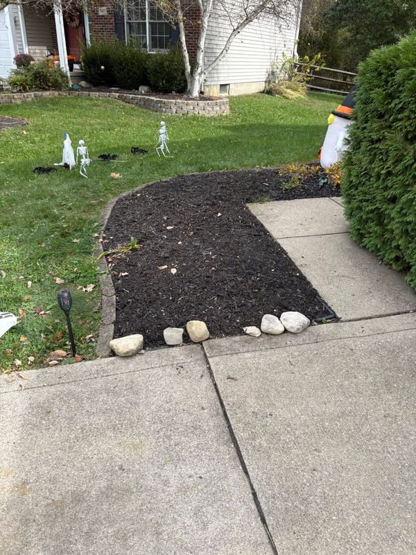 Landscape Design