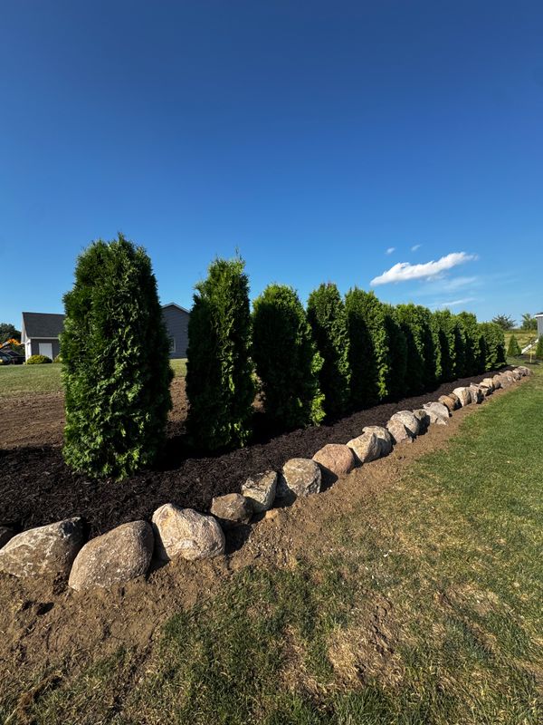 Transformative Landscaping Solutions for a Picture-Perfect Outdoor Space