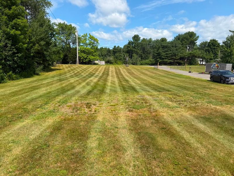 Lawn Maintenance