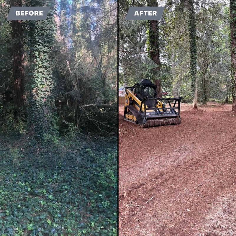 Satisfied customers Before and After