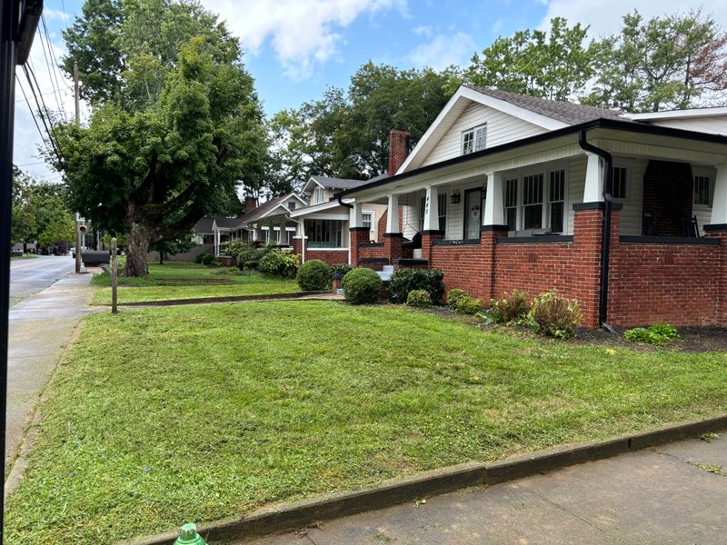 Lawn care