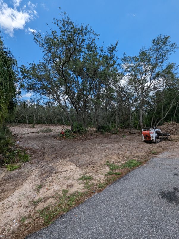 Land Clearing
