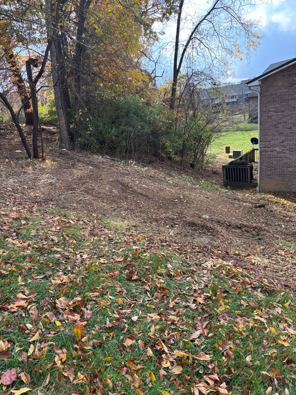 Forestry Mulching