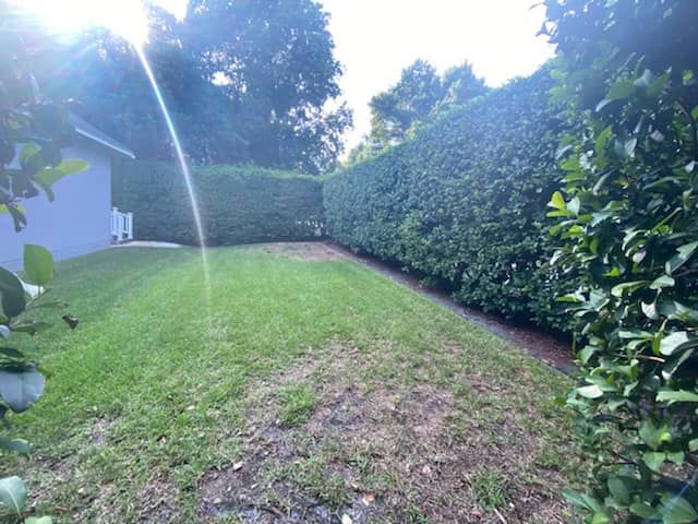 Landscaping