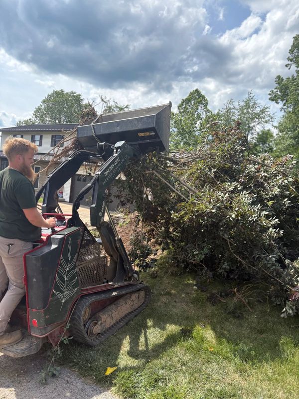 Land Clearing