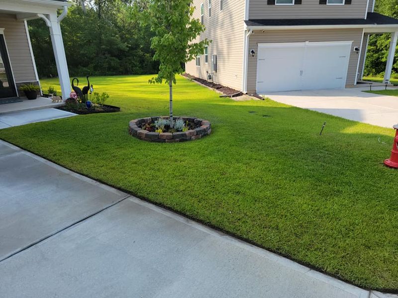 Shrub Trimming