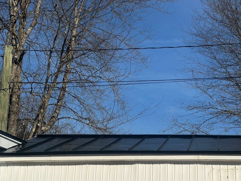 Metal Roofing