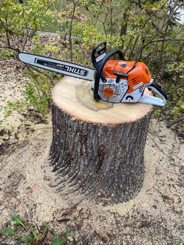 Tree Removal gallery