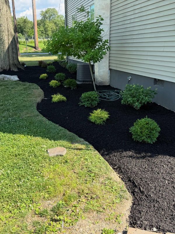 Landscape Design & Installation