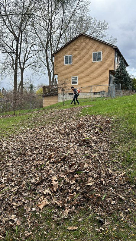 Leaf Removal gallery