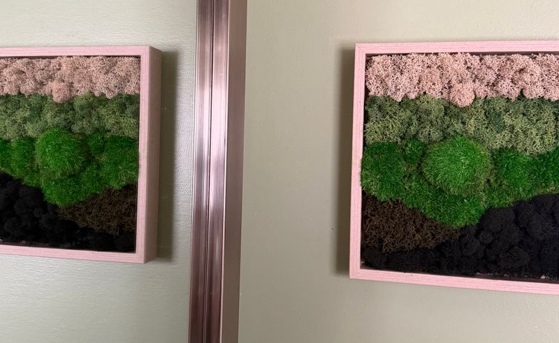 Indoor Plant Care