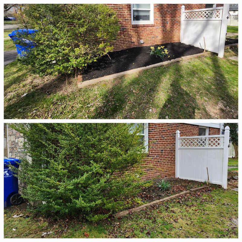 Lawn Care