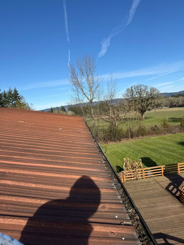 Roof Cleaning