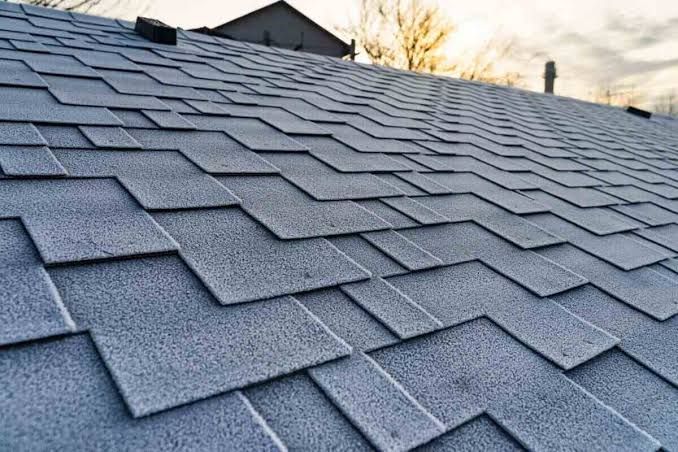 Roof Cleaning